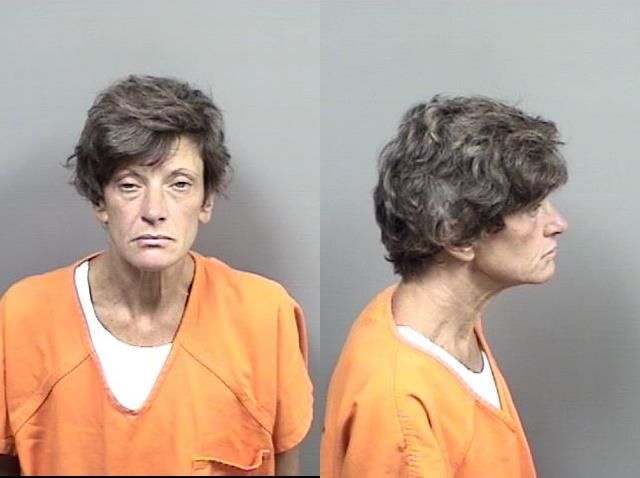 Lynn Ann Shirk
